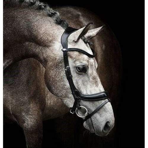 PS of Sweden black Paladin bridle. Cob size