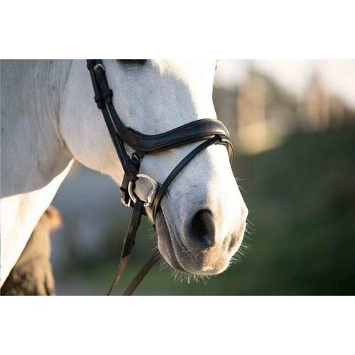 PS of Sweden black Paladin bridle. Cob size