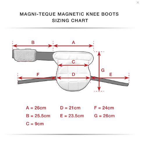 Premier Equine Magni-Teque Magnetic Horse Knee Boots - Robyn's Tack Room 