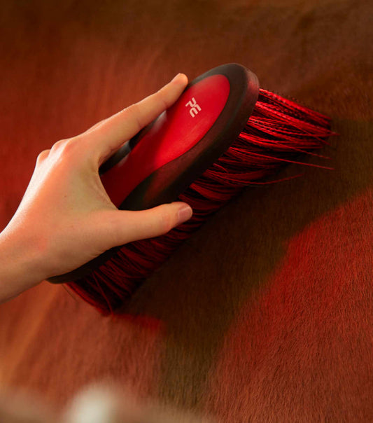 Premier Equine Soft-Touch Dandy Brush - Long Bristles