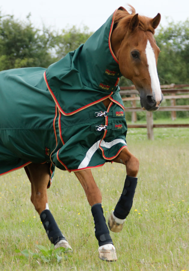 Premier Equine Turnout Boots - Robyn's Tack Room 