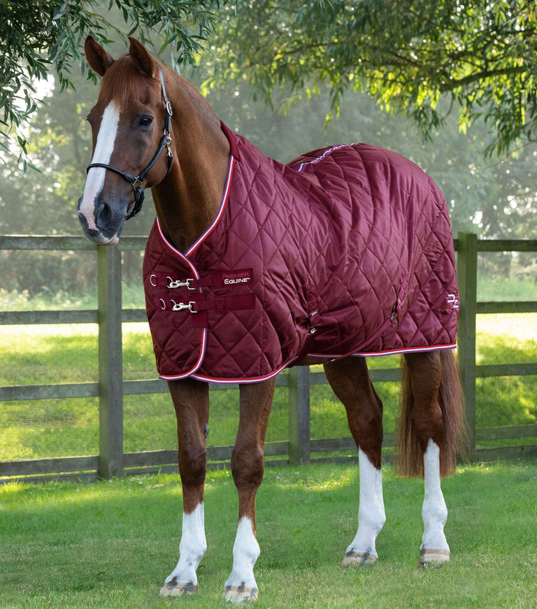Premier Equine Tuscan Stable / Travel Rug 100g and 200g